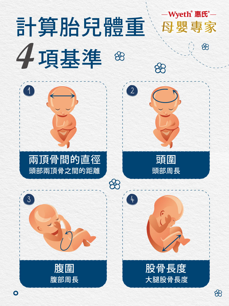 計算胎兒體重的4項基準