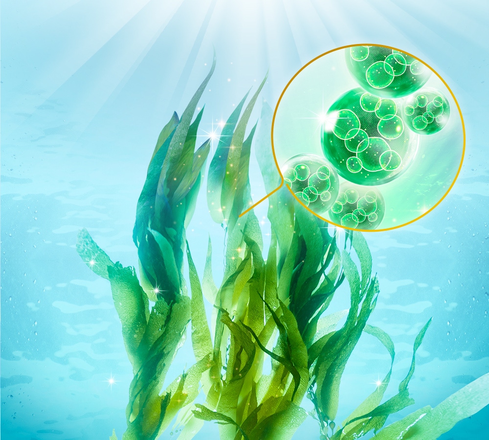 藻油的萃取來源微藻，是一種超級食物，其營養價值比起一般食物更高